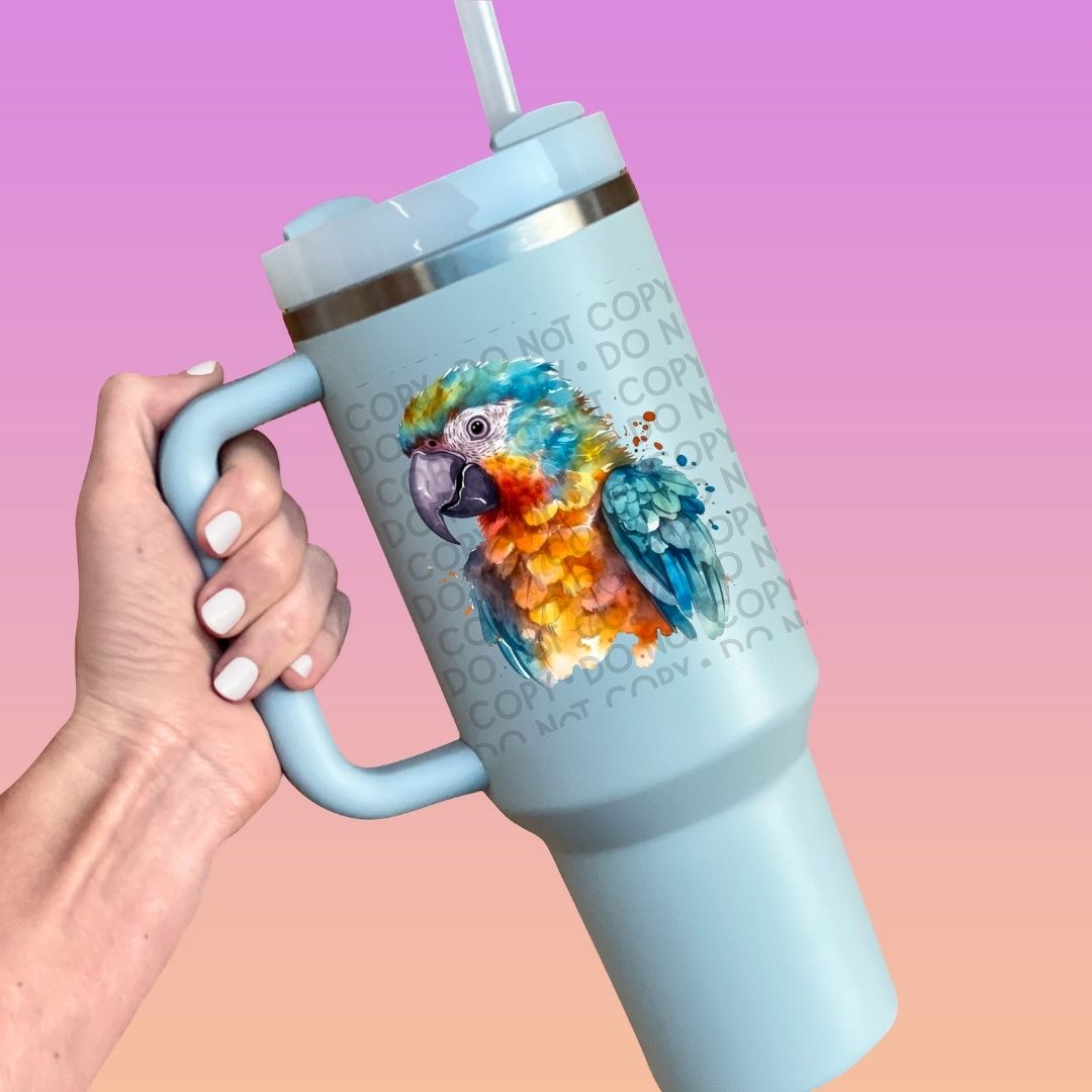 Baby Macaw - UV DTF Decal
