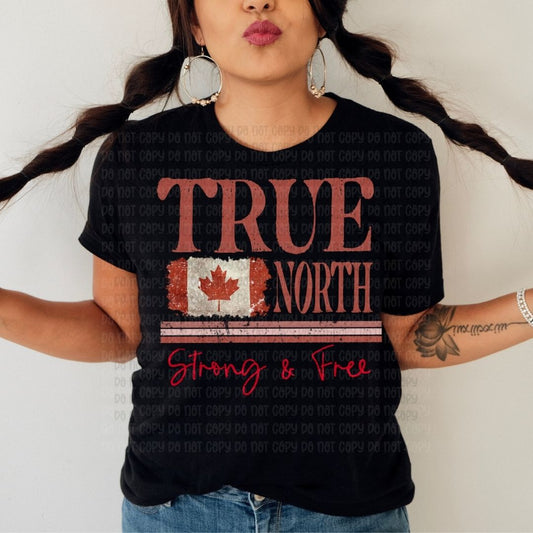 True North - DTF