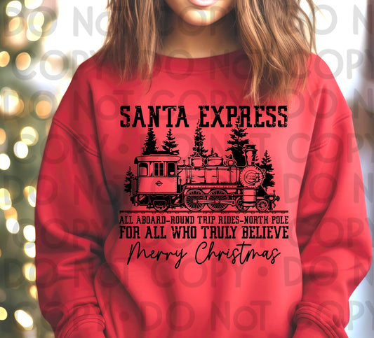 SANTA EXPRESS - DTF