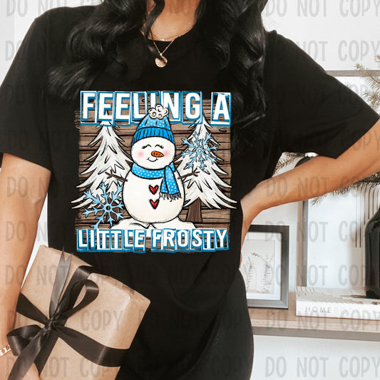 FEELING A LITTLE FROSTY - DTF