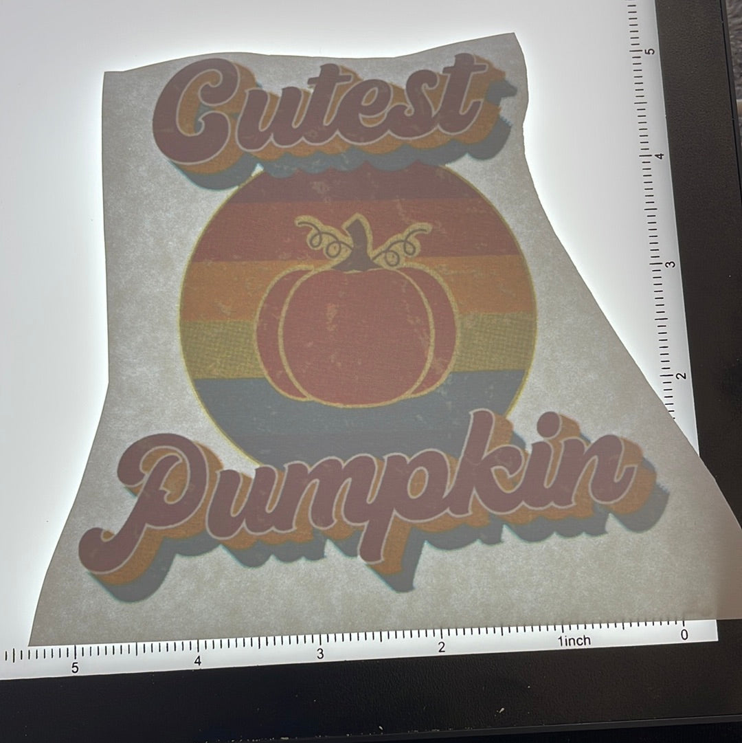 Cutest pumpkin - Screen Print - $1