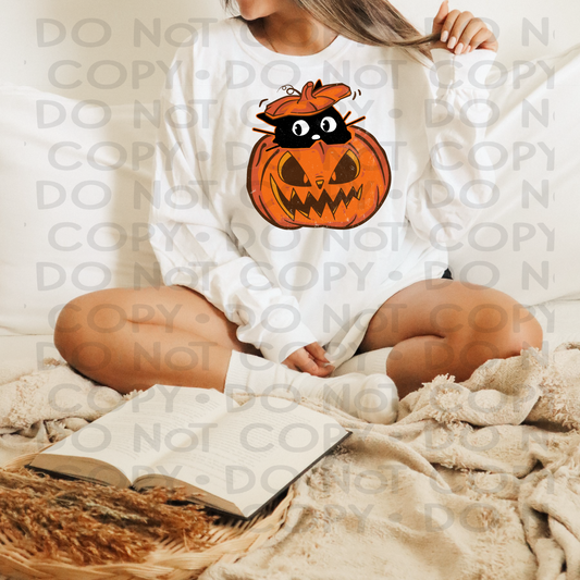 Pumpkin cat distressed - DTF